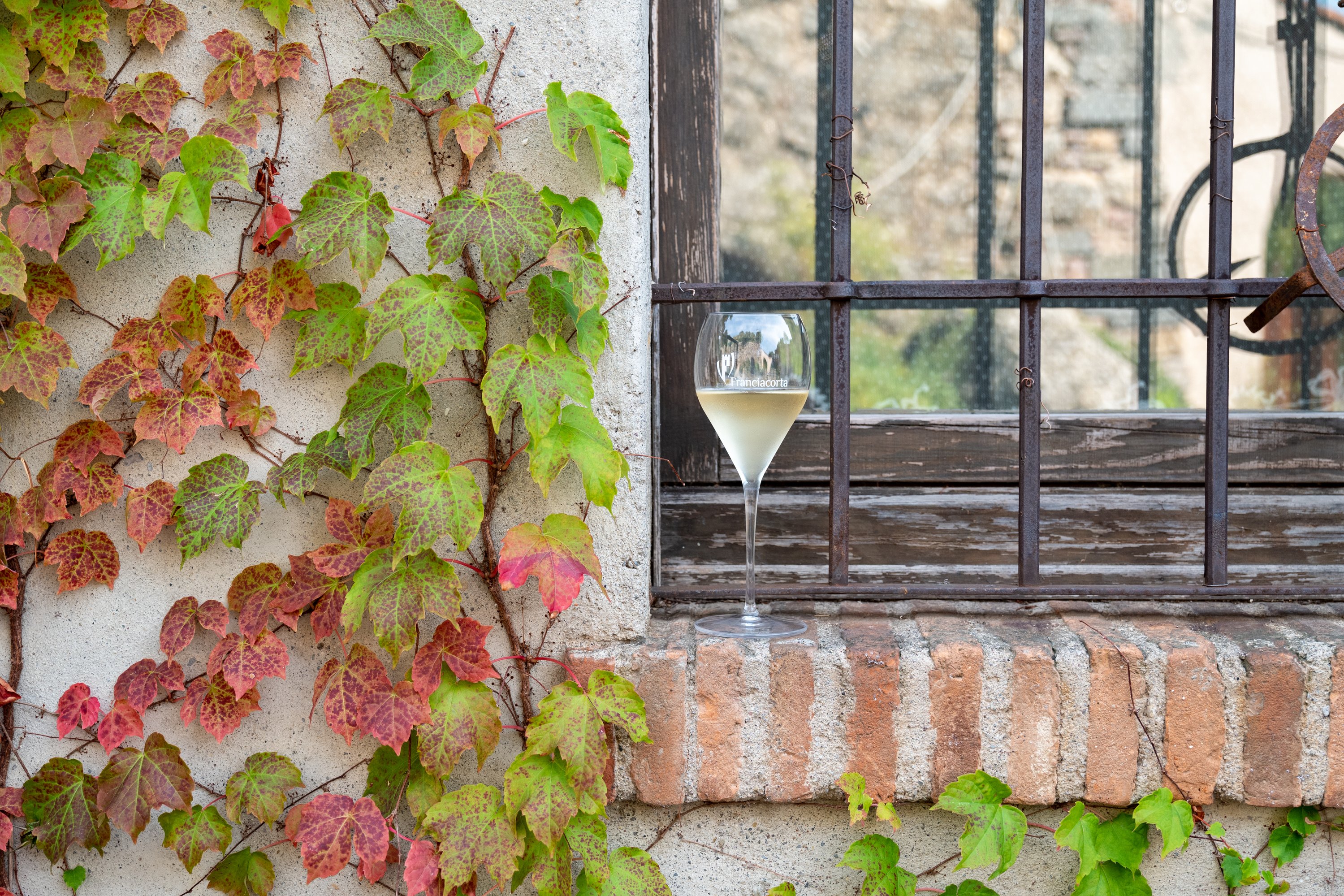 Weine aus der Lombardei Franciacorta kaufen